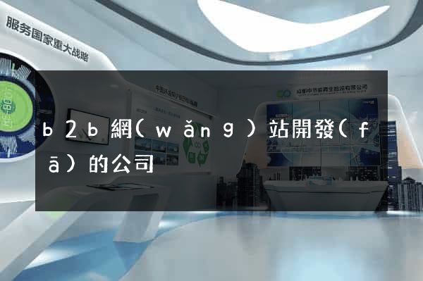 b2b網(wǎng)站開發(fā)的公司