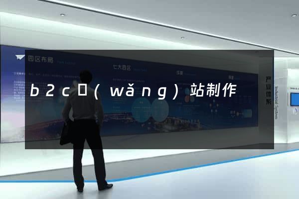 b2c網(wǎng)站制作