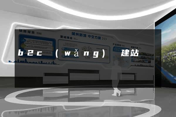 b2c網(wǎng)絡建站