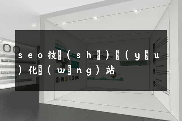 seo技術(shù)優(yōu)化網(wǎng)站