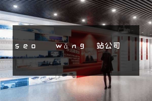 seo網(wǎng)站公司