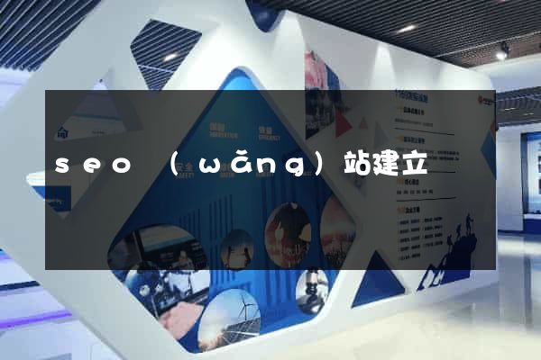 seo網(wǎng)站建立