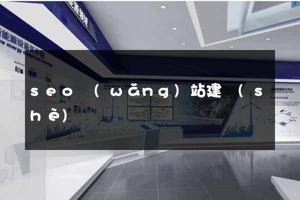 seo網(wǎng)站建設(shè)