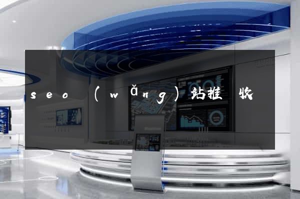 seo網(wǎng)站推廣收費