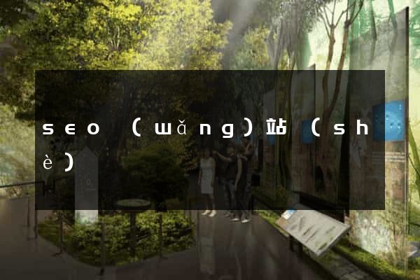 seo網(wǎng)站設(shè)計