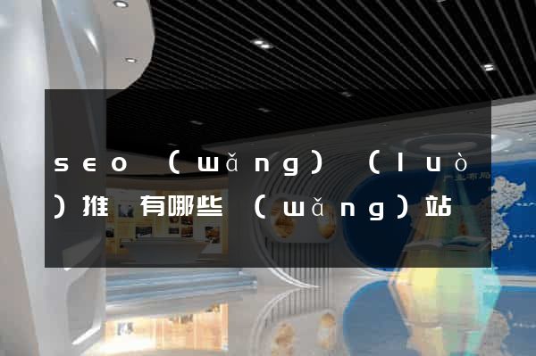 seo網(wǎng)絡(luò)推廣有哪些網(wǎng)站