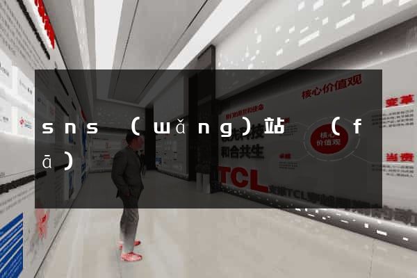 sns網(wǎng)站開發(fā)