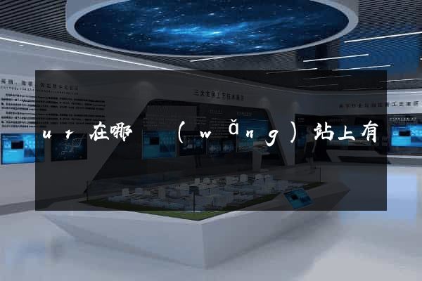 ur在哪個網(wǎng)站上有賣