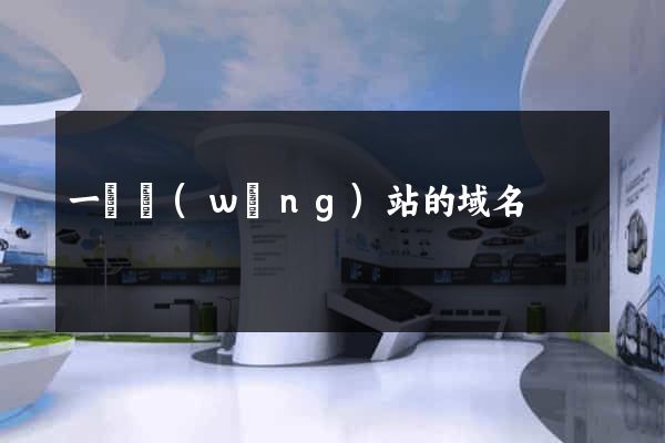 一個網(wǎng)站的域名