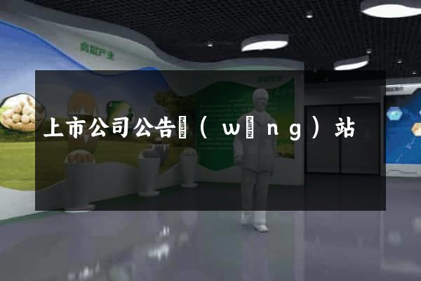 上市公司公告網(wǎng)站