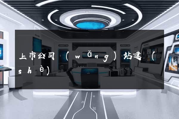 上市公司網(wǎng)站建設(shè)