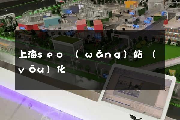上海seo網(wǎng)站優(yōu)化