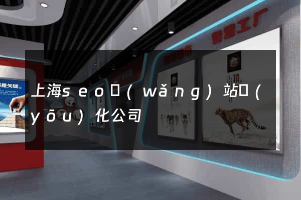 上海seo網(wǎng)站優(yōu)化公司