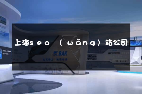 上海seo網(wǎng)站公司