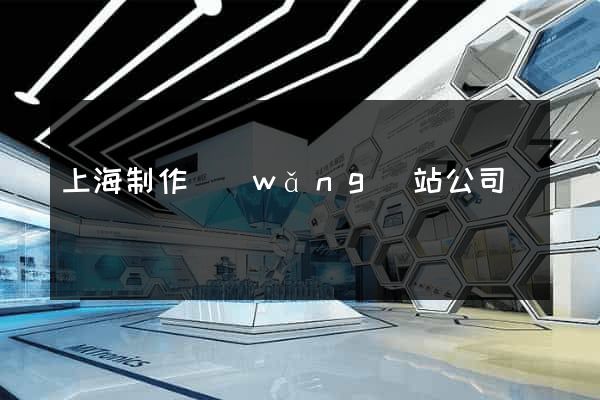 上海制作網(wǎng)站公司