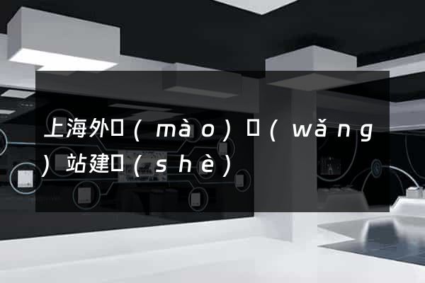 上海外貿(mào)網(wǎng)站建設(shè)