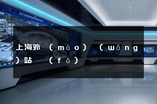 上海外貿(mào)網(wǎng)站開發(fā)