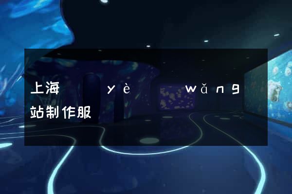 上海專業(yè)網(wǎng)站制作服務