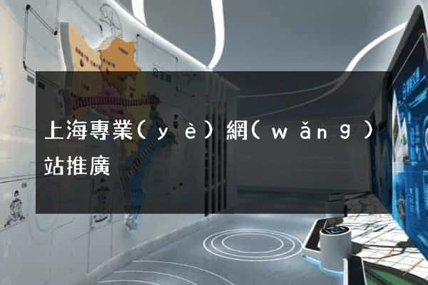 上海專業(yè)網(wǎng)站推廣