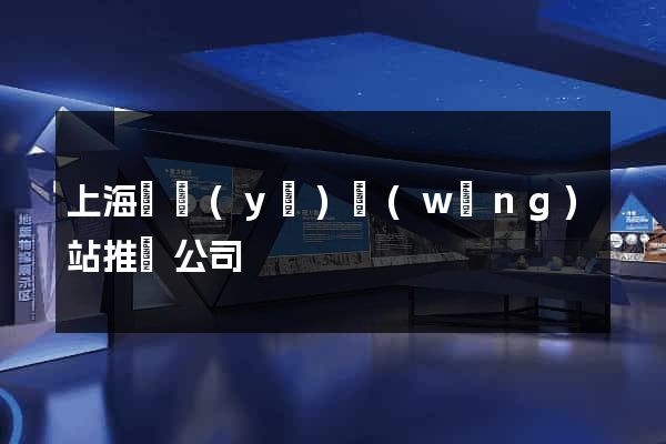 上海專業(yè)網(wǎng)站推廣公司