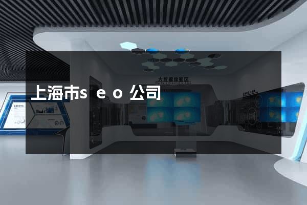 上海市seo公司