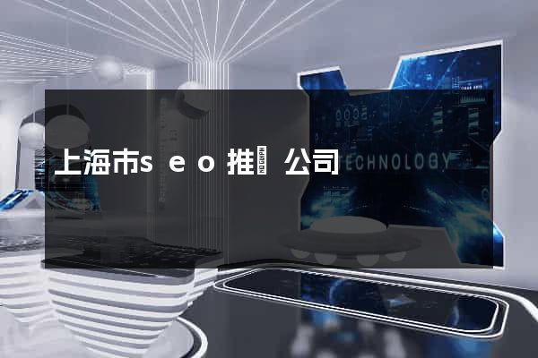 上海市seo推廣公司