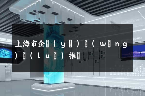 上海市企業(yè)網(wǎng)絡(luò)推廣