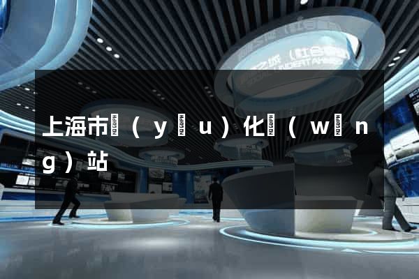 上海市優(yōu)化網(wǎng)站