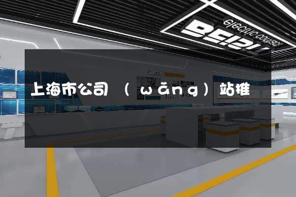 上海市公司網(wǎng)站推廣