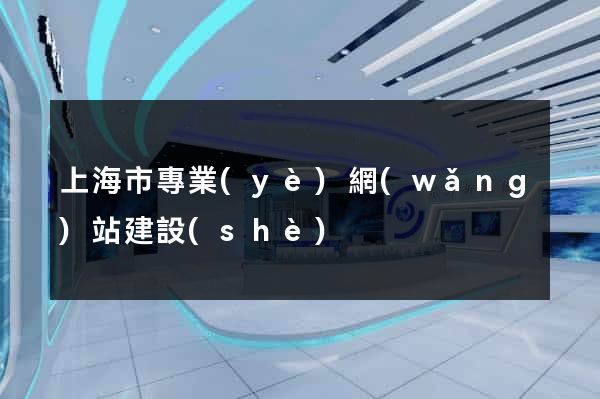 上海市專業(yè)網(wǎng)站建設(shè)