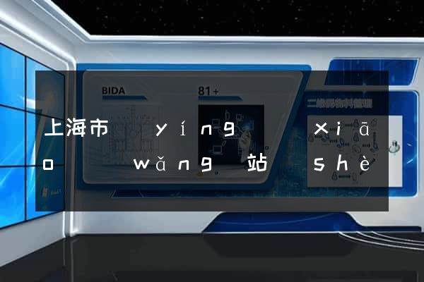 上海市營(yíng)銷(xiāo)網(wǎng)站設(shè)計(jì)