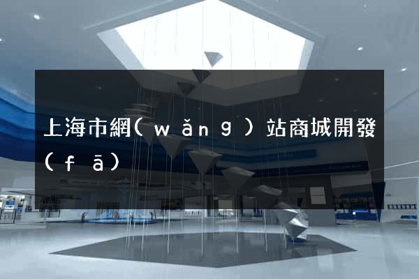 上海市網(wǎng)站商城開發(fā)