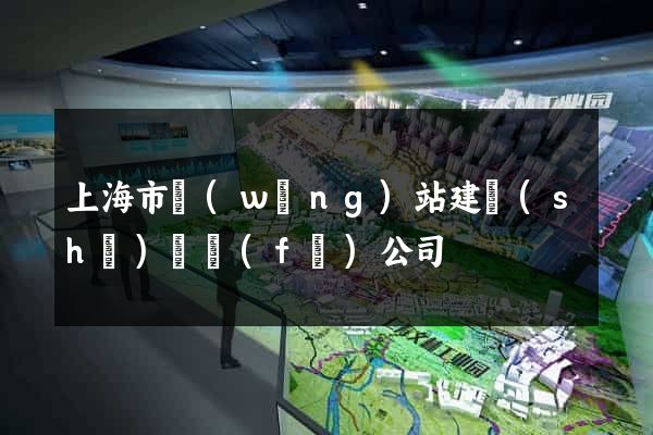 上海市網(wǎng)站建設(shè)開發(fā)公司