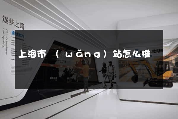 上海市網(wǎng)站怎么推廣