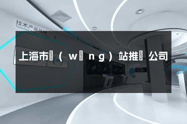 上海市網(wǎng)站推廣公司