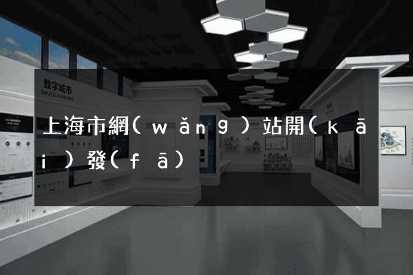 上海市網(wǎng)站開(kāi)發(fā)