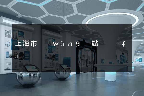 上海市網(wǎng)站開發(fā)