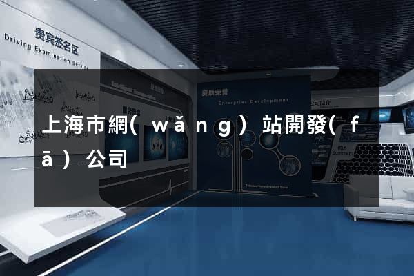 上海市網(wǎng)站開發(fā)公司