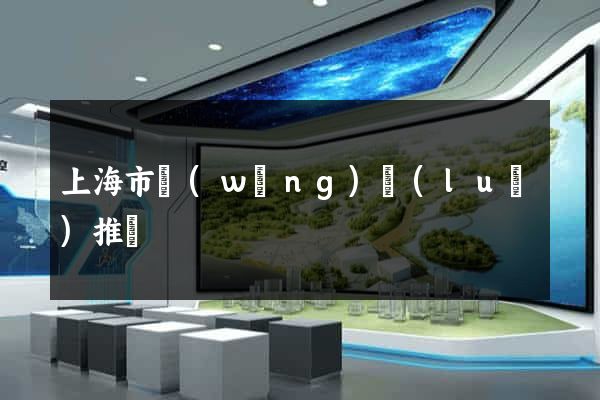 上海市網(wǎng)絡(luò)推廣