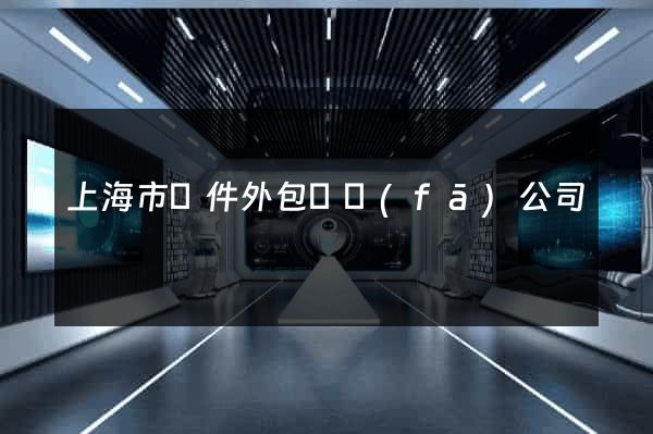 上海市軟件外包開發(fā)公司