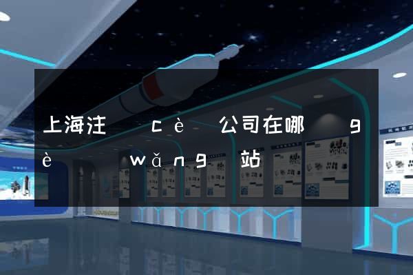 上海注冊(cè)公司在哪個(gè)網(wǎng)站