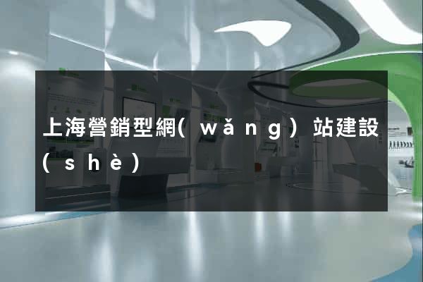 上海營銷型網(wǎng)站建設(shè)
