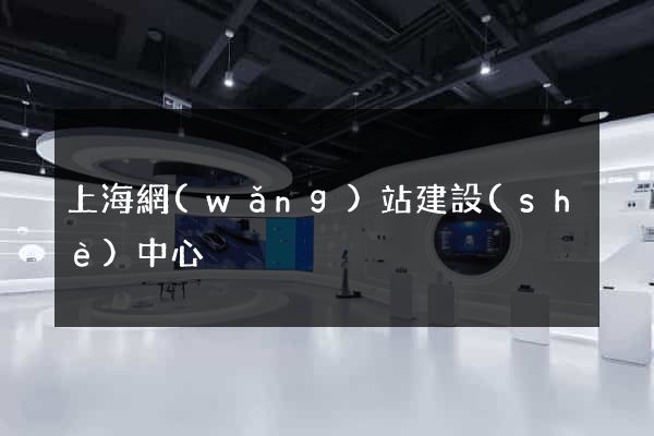 上海網(wǎng)站建設(shè)中心