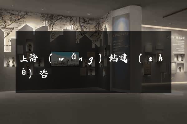 上海網(wǎng)站建設(shè)咨詢