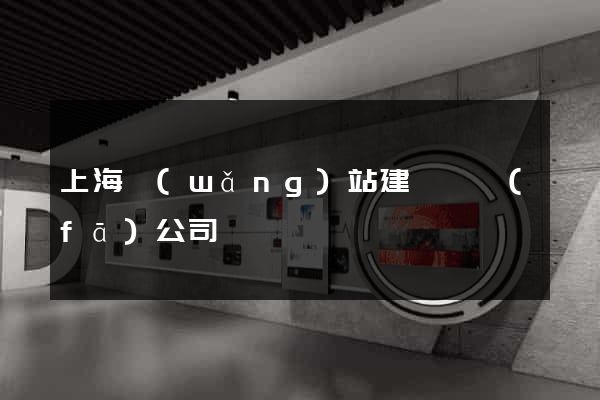 上海網(wǎng)站建設開發(fā)公司