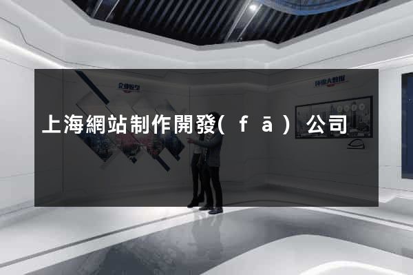 上海網站制作開發(fā)公司