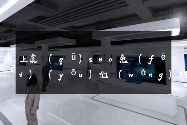 上虞區(qū)seo免費(fèi)優(yōu)化網(wǎng)站