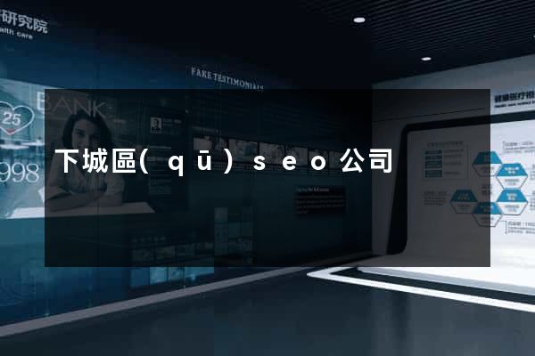 下城區(qū)seo公司