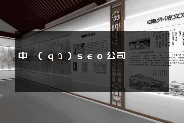 中區(qū)seo公司