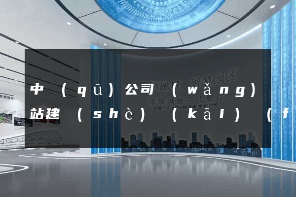 中區(qū)公司網(wǎng)站建設(shè)開(kāi)發(fā)